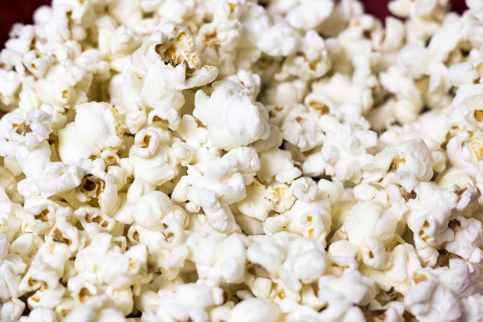 Popcorn-Pfoten – Warum riechen Pfoten so?