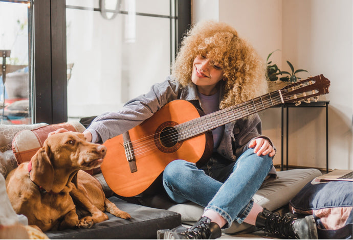 Unsere kuratierte Playlist: Supaw Songs für Deinen Hund