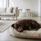 SUPAW SLEEP – Hundebetten mit 7 Supawkräften