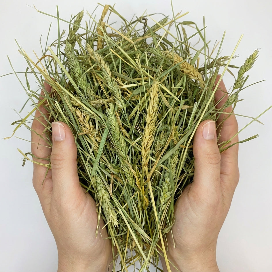 SUPAW MIX + MATCH Inletts mit Alpen-Heu und Zirbenholzspänen