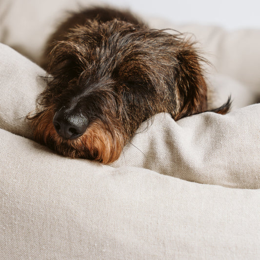 SUPAW SLEEP Hundebetten Ersatz-Bezüge