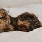 SUPAW SLEEP Hundebetten Ersatz-Bezüge