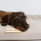 SUPAW SLEEP – Hundebetten mit 7 Supawkräften
