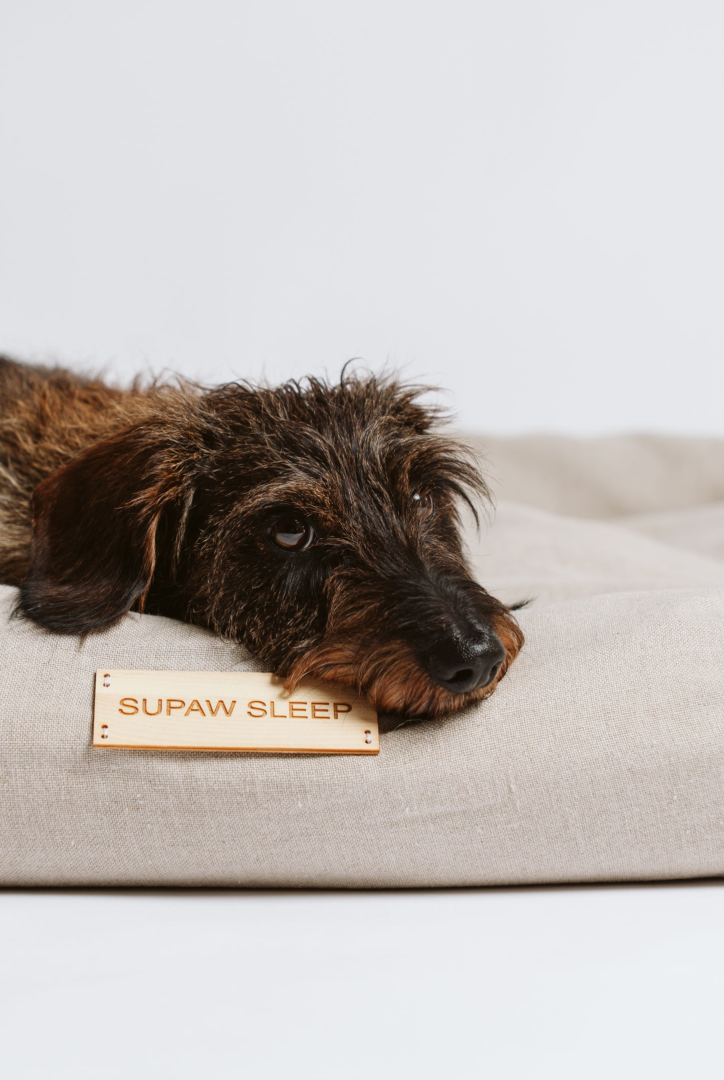 SUPAW SLEEP – Hundebetten mit 7 Supawkräften
