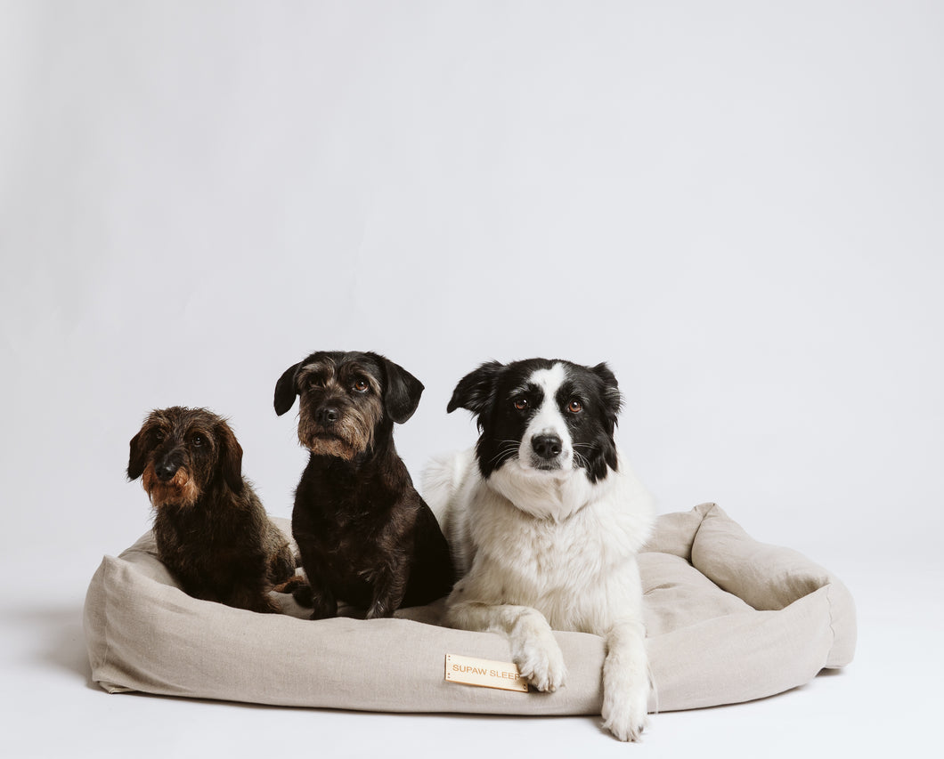 Hundebett Supaw Sleep XXL Liegefläche 110 x 78 cm ideal für Labrador, Golden Retriever